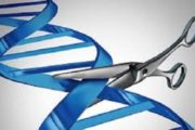 Human genome editing:We should all have a say
