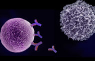 What is Immunotherapy