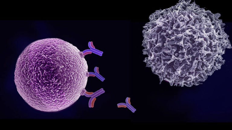What is Immunotherapy